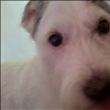 Image for Twitter.