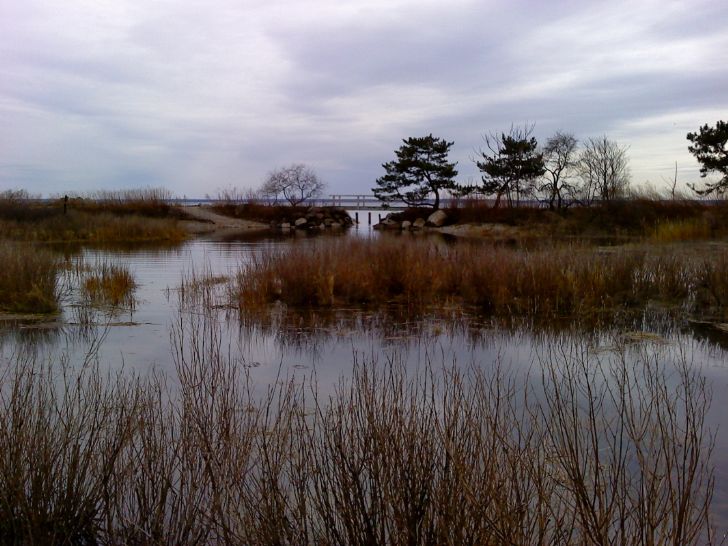 Todd's Point Beach, Greenwich, CT