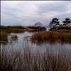 Todd's Point Beach, Greenwich, CT