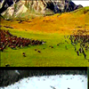 Narnia Vs Twilight