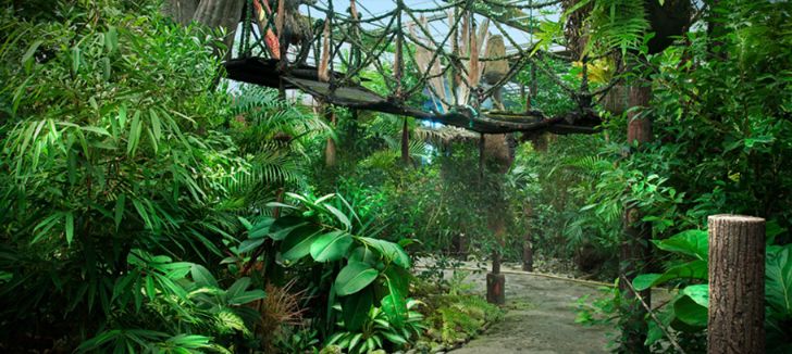 A unique thrilling exterior view of forest theme based restaurant in Muscat, Oman