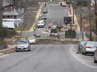 Storm Damage in Arlington VA