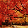 Image for Twitter.