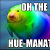 hue manatee