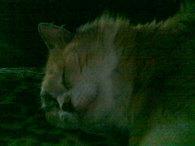 Image for Twitter.